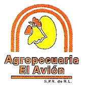 el-avion